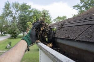 Gutter cleaning by Jackie in Medford OR