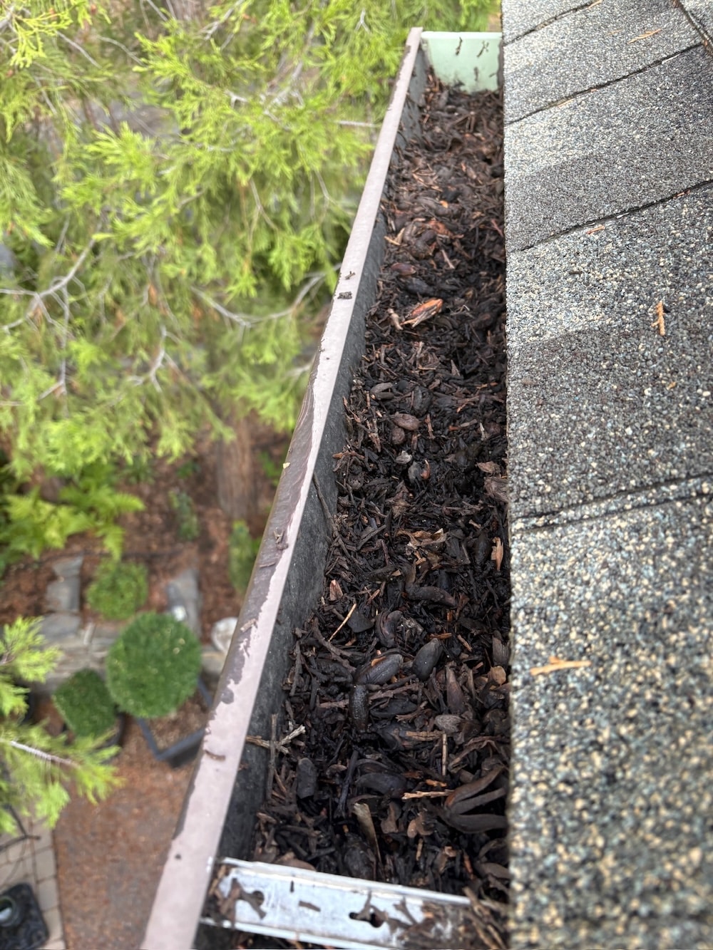 Clogged gutters full of leaves before cleaning in Ashland OR