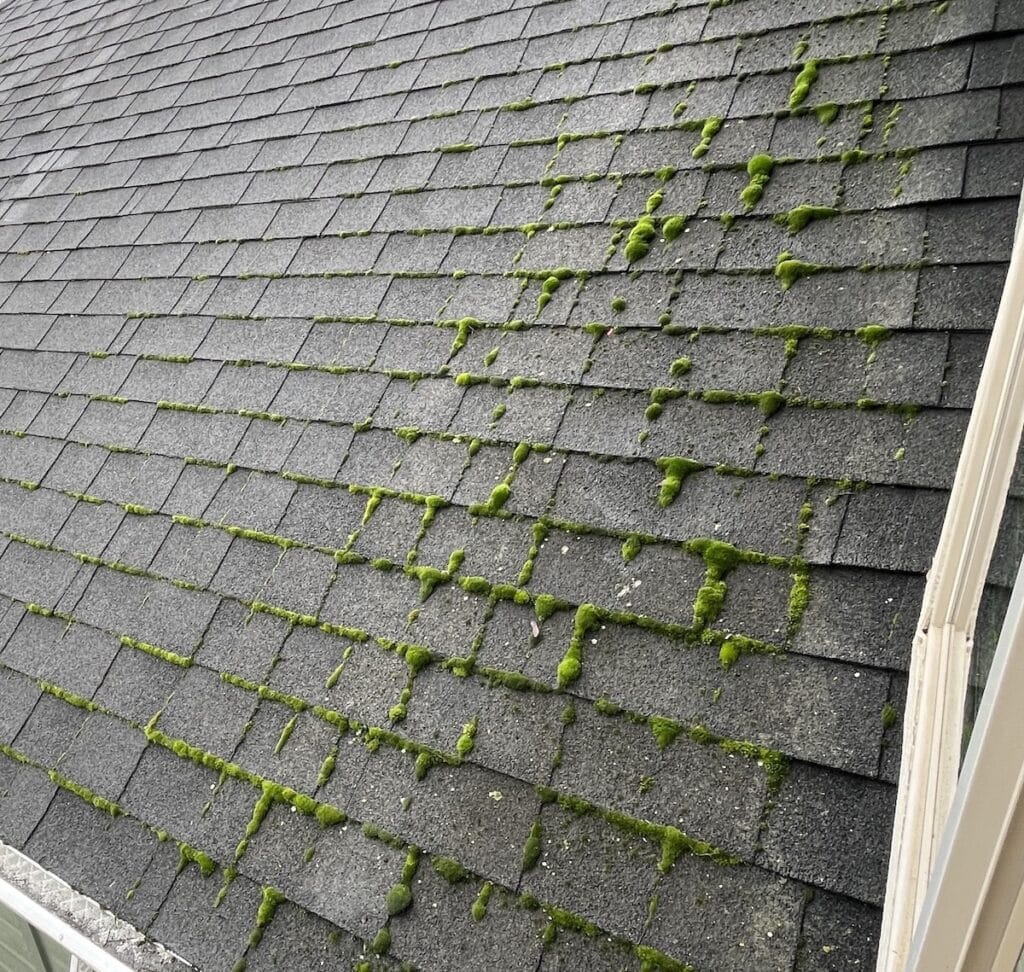 Roof moss removal in Medford, OR